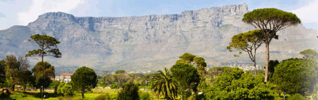Natura in Sud Africa Natura in Sud Africa